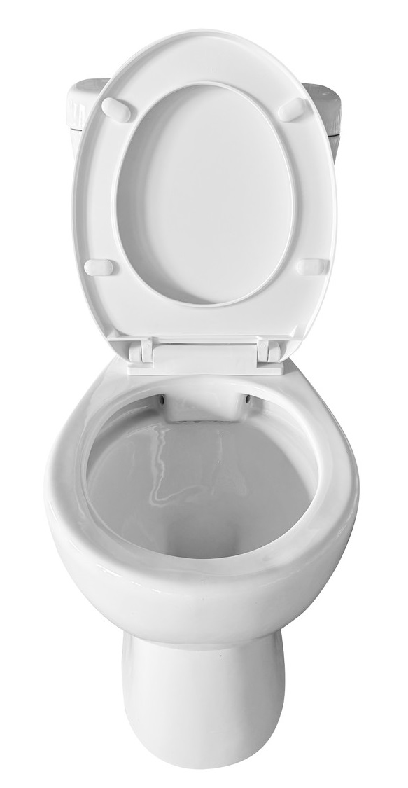 картинка Компакт EvaGold A2102 прямой безободковый 1 реж полип(-/-/- шт)